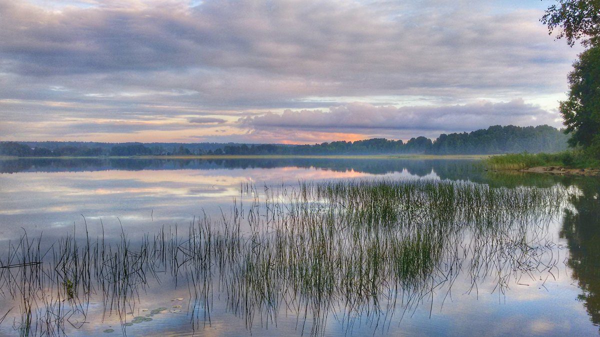 Первое мая озеро. Озеро глубокое Рузский район. Озеро глубокое Московская область Ивановское. Озеро в Рузском районе. Озеро глубокое фото.