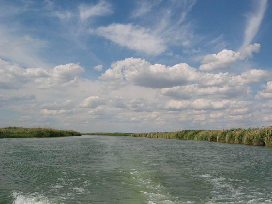 Река маныч ростовская